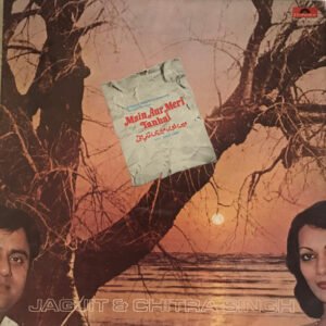 Main Aur Meri Tanhai